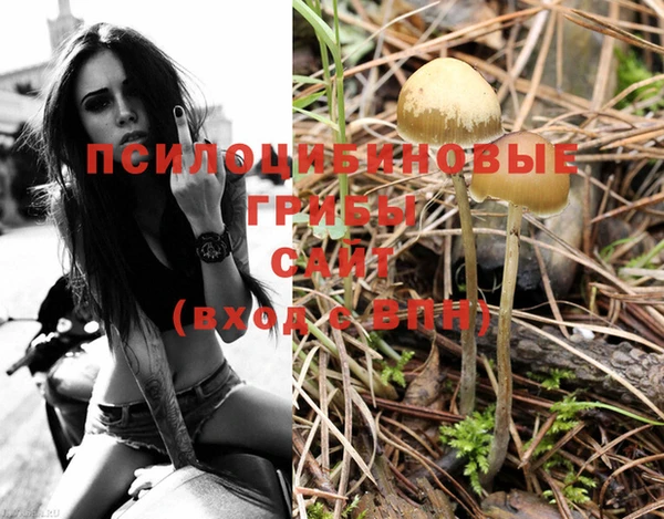 молекула духа Нязепетровск