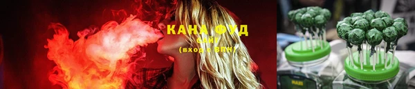 дурь Новодвинск