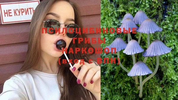 ПСИЛОЦИБИНОВЫЕ ГРИБЫ Новокубанск