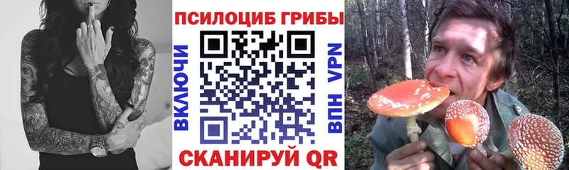 Псилоцибиновые грибы Magic Shrooms Тихвин