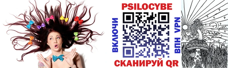 Купить  Тихвин  Псилоцибиновые грибы Psilocybe 